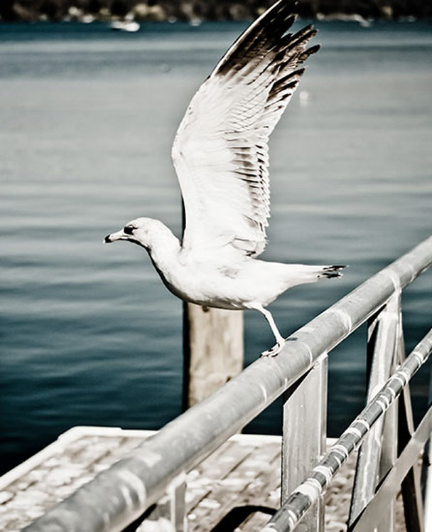 ddos在线压力测试平台